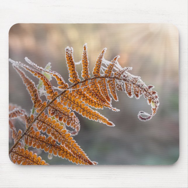 Fern Leaf with Icy Frost in a Cold Winter Nature - Mouse Pad (Front)