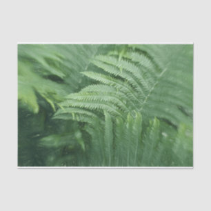 Fern Leaves Botanical Greenery Art Tissue Paper
