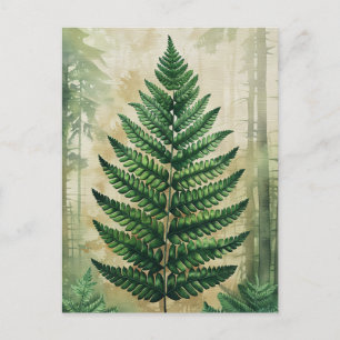 Fern Leaves Botanical Postcard