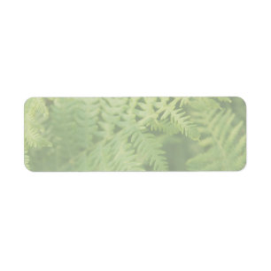 Fern Leaves, Light Green.