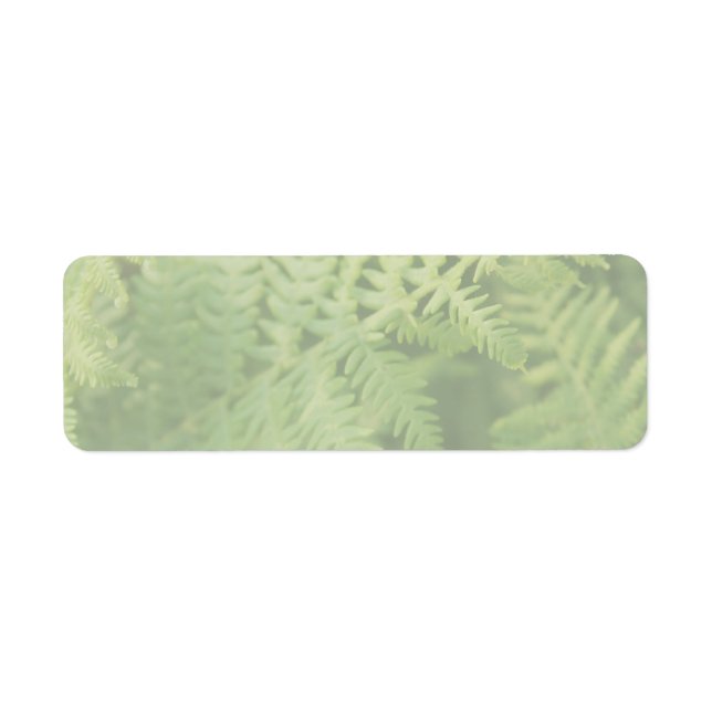 Fern Leaves, Light Green. (Front)