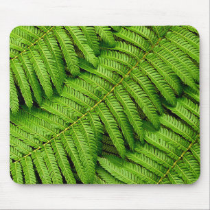 Fern Leaves Mouse Pad