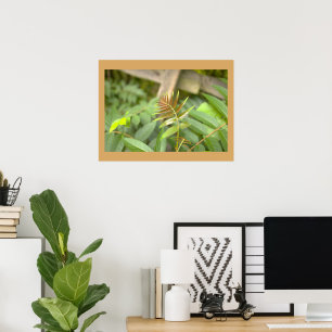 Fern Leaves Photo Poster