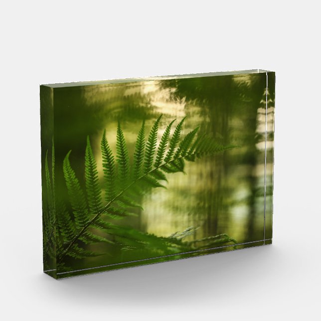 Fern Nature Photo Block (Left)