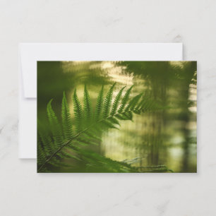 Fern Nature Photo Card