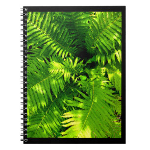 Fern Notebook