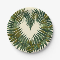 Fern