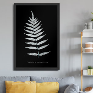 Fern - Polypodyum Fraxinifolium - X-ray effect -08 Poster