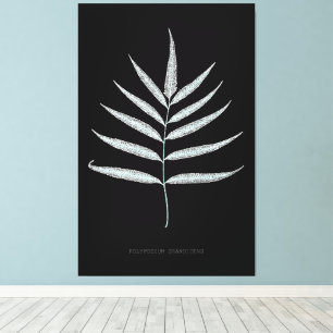Fern - Polypodyum Grandidens - X-ray effect - 10 Canvas Print