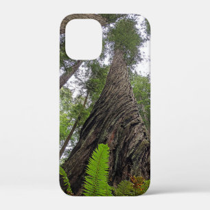 Fern Reaching To Sky Along Redwood's Swirled Bark iPhone 12 Mini Case