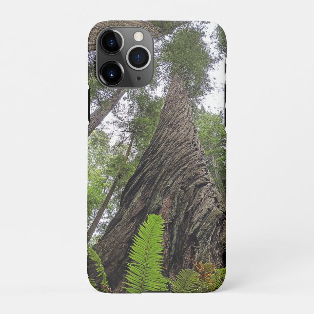 Fern Reaching To Sky Along Redwood's Swirled Bark iPhone Case (Back)