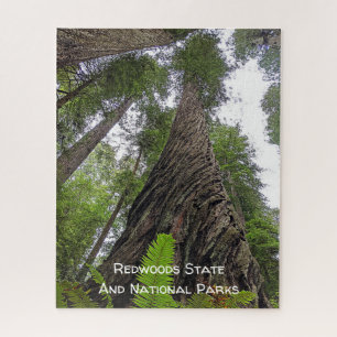 Fern Reaching To Sky Along Redwood's Swirled Bark Jigsaw Puzzle