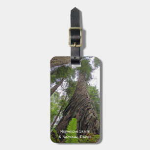 Fern Reaching To Sky Along Redwood's Swirled Bark Luggage Tag