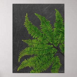 Fern sign w/ Chalkboard Background no. 5