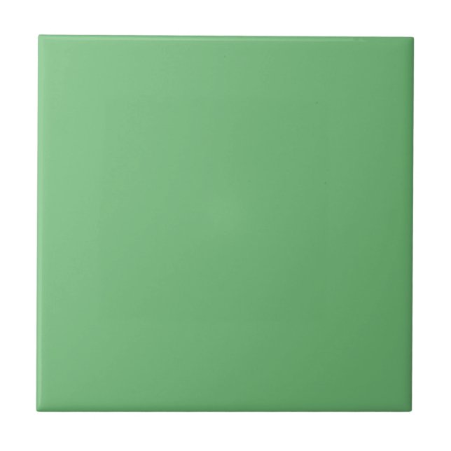 Fern Solid Colour | Classic | Elegant Tile (Front)