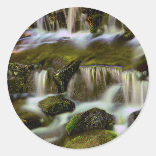 Fern Spring, Yosemite National Park, California Classic Round Sticker