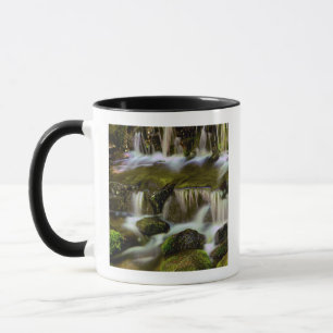 Fern Spring, Yosemite National Park, California Mug