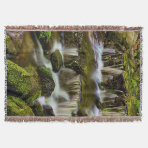 Fern Spring, Yosemite National Park, California Throw Blanket