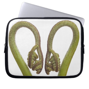 Fern sprouts 2 laptop sleeve