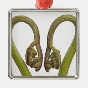 Fern sprouts 2 metal ornament