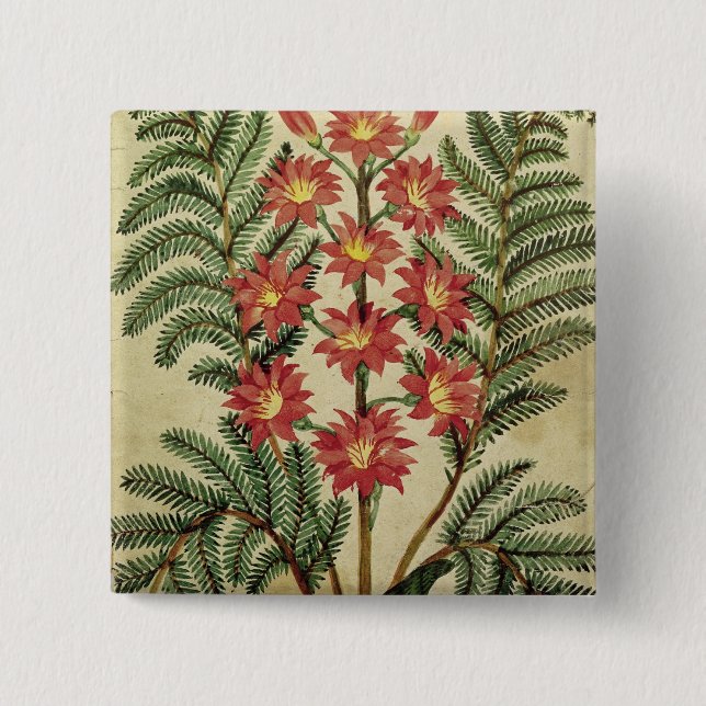 Fern with red and yellow flowers 2 inch square button (Front)