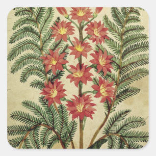 Fern with red and yellow flowers square sticker