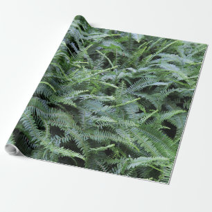 Fern Wrapping Paper