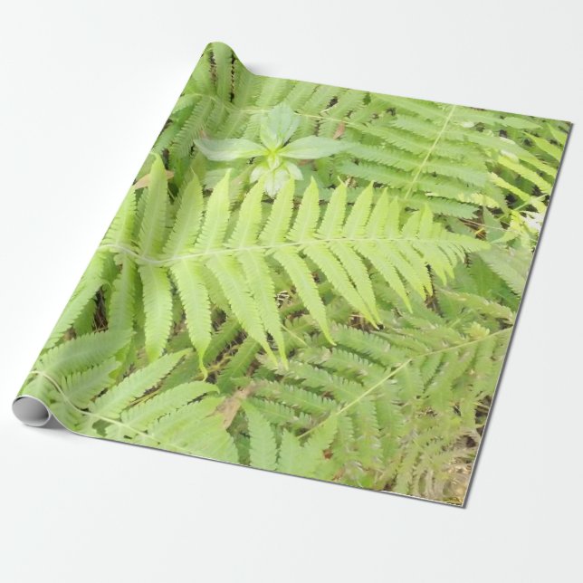 Fern Wrapping Paper Matt (Unrolled)