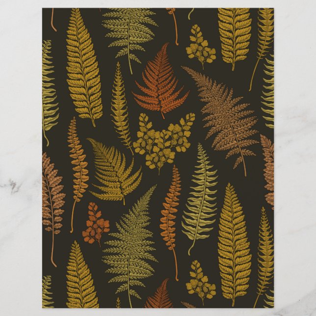 ferns 3 (Front)