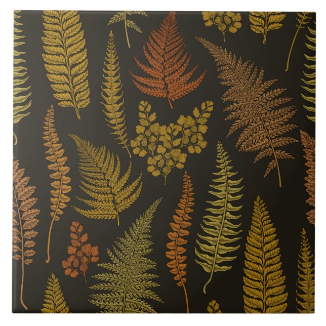 ferns 3 tile (Front)