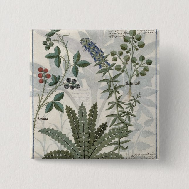 Ferns, Brambles and Flowers 2 Inch Square Button (Front)