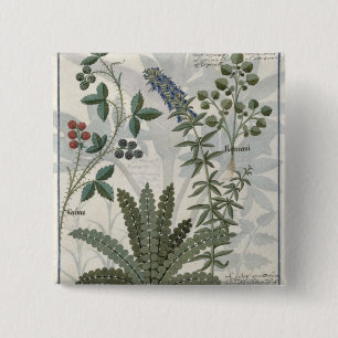 Ferns, Brambles and Flowers 2 Inch Square Button