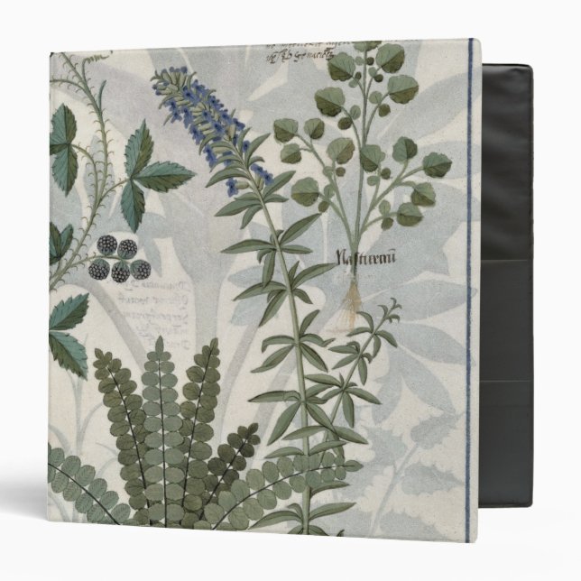 Ferns, Brambles and Flowers Binder (Front/Inside)