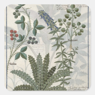 Ferns, Brambles and Flowers Square Sticker