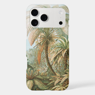 Ferns, Filicinae Laubfarne by Ernst Haeckel