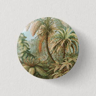 Ferns, Filicinae Laubfarne by Ernst Haeckel 1 Inch Round Button