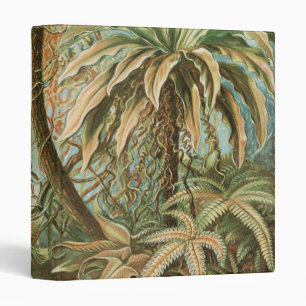 Ferns, Filicinae Laubfarne by Ernst Haeckel Binder