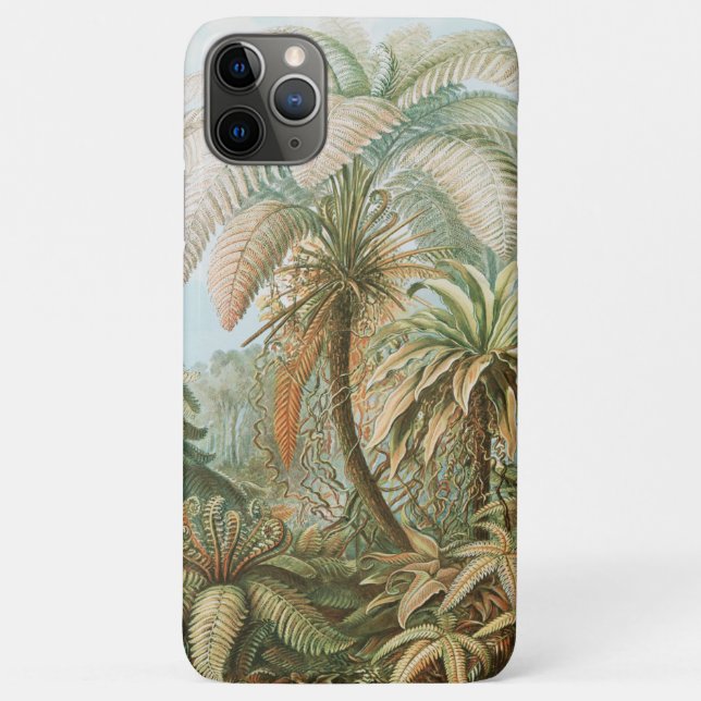 Ferns, Filicinae Laubfarne by Ernst Haeckel Case-Mate iPhone Case (Back)