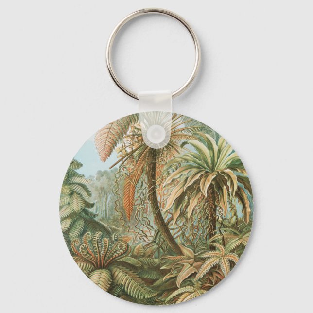 Ferns, Filicinae Laubfarne by Ernst Haeckel Keychain (Front)