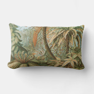 Ferns, Filicinae Laubfarne by Ernst Haeckel Lumbar Pillow