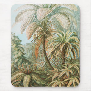 Ferns, Filicinae Laubfarne by Ernst Haeckel Mouse Pad