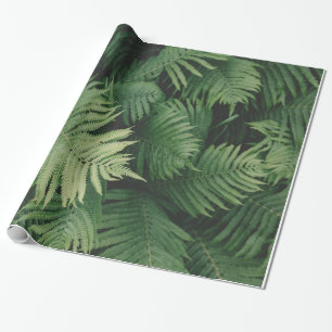 Ferns in Cool Green Shade Wrapping Paper