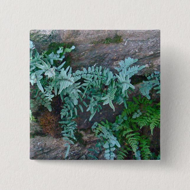 Ferns in Philadelphia 2 Inch Square Button (Front)