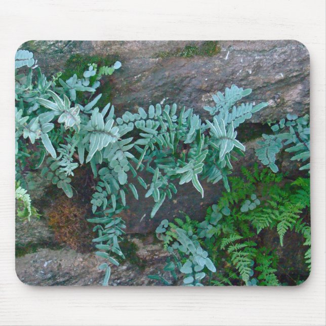 Ferns in Philadelphia Mouse Pad (Front)