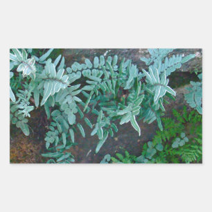 Ferns in Philadelphia Sticker