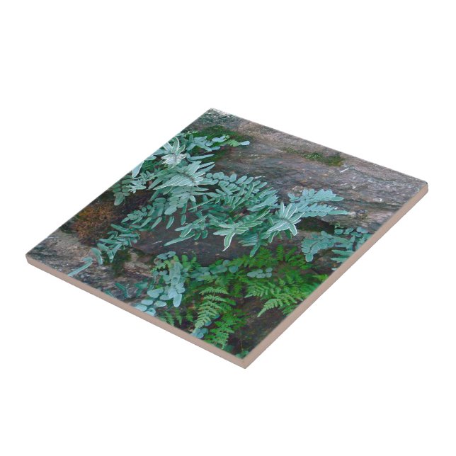 Ferns in Philadelphia Tile (Side)