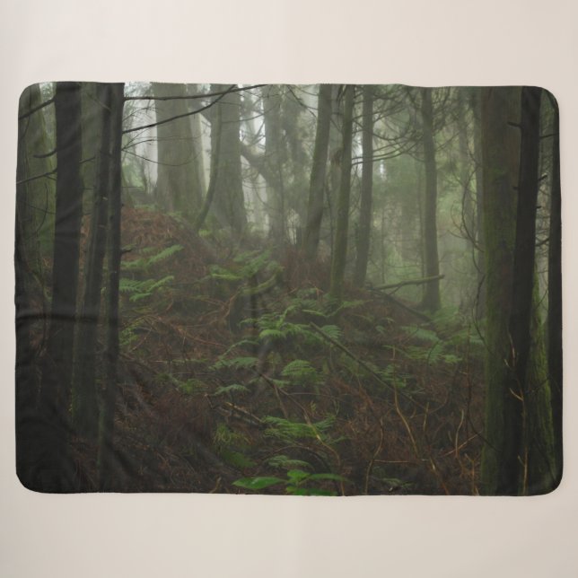 FERNS in the FORREST Sherpa Blanket (Front (Horizontal))