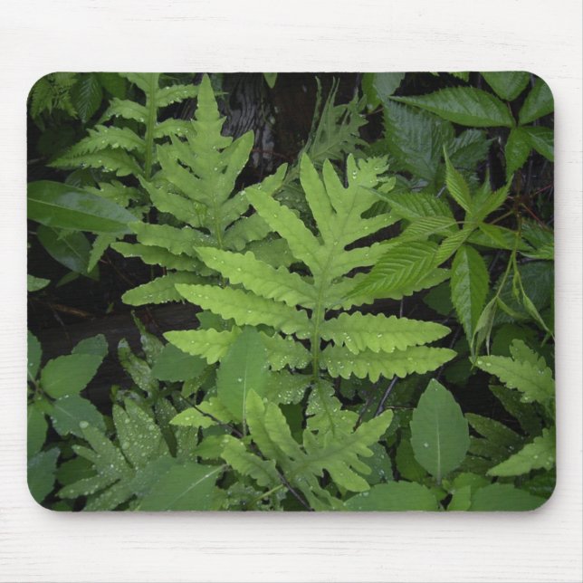 Ferns Mouse Pad (Front)