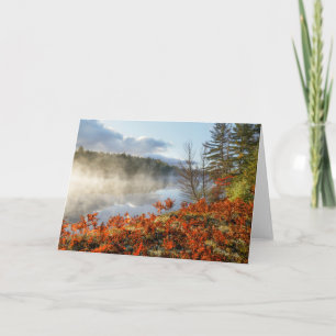 Ferns on Shoreline   Paradise, Michigan Card