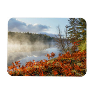 Ferns on Shoreline Paradise, Michigan Magnet